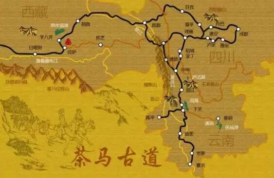 茶馬古道(dào)：普洱茶文(wén)化(huà)之魂(圖5)